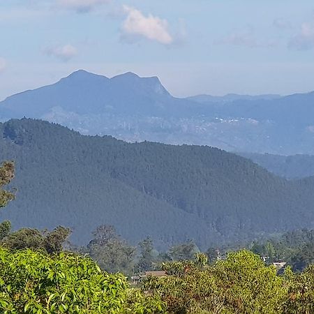 Hotel The Grand Bandarawela Extérieur photo